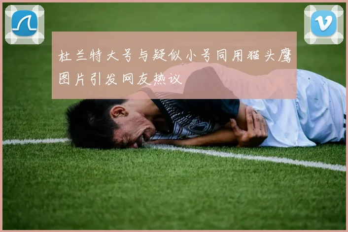杜兰特大号与疑似小号同用猫头鹰图片引发网友热议