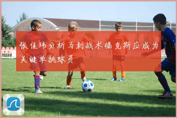 张佳玮分析马刺战术福克斯应成为关键单挑球员