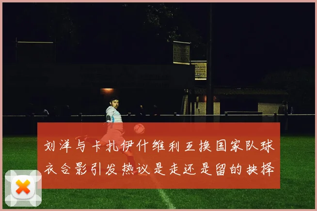 刘洋与卡扎伊什维利互换国家队球衣合影引发热议是走还是留的抉择时刻