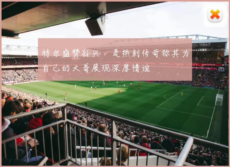 特尔盛赞孙兴慜是热刺传奇称其为自己的大哥展现深厚情谊