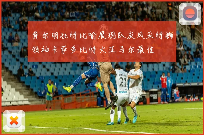 费尔明独特比喻展现队友风采特狮领袖卡萨多比特犬亚马尔最佳