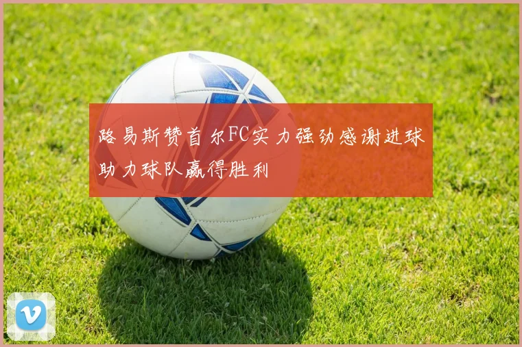 路易斯赞首尔FC实力强劲感谢进球助力球队赢得胜利